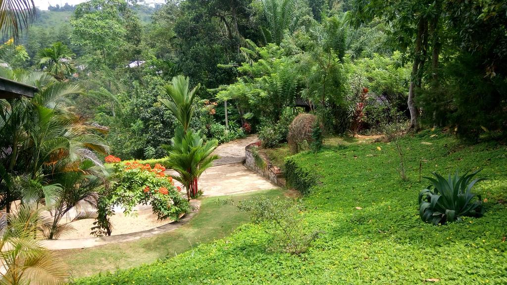 Tea Leaf Retreat Apartment แคนดี้ ภายนอก รูปภาพ