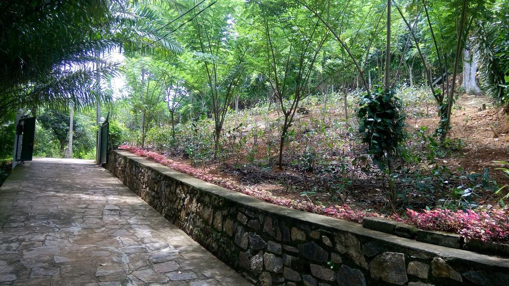 Tea Leaf Retreat Apartment แคนดี้ ภายนอก รูปภาพ